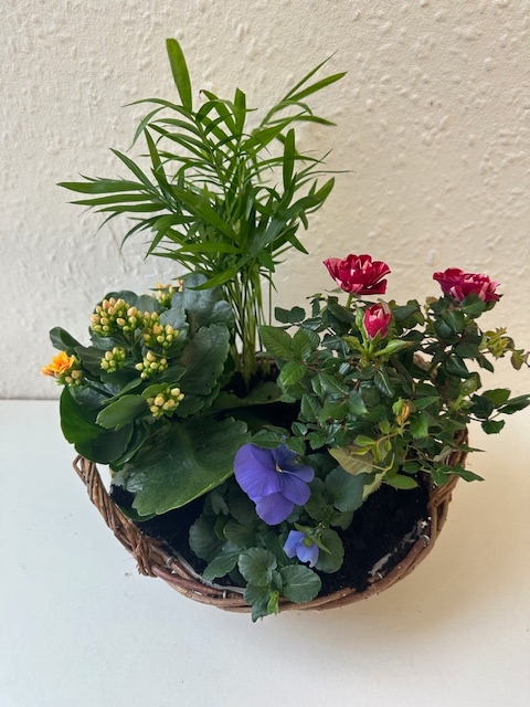 Mothers Day Planter